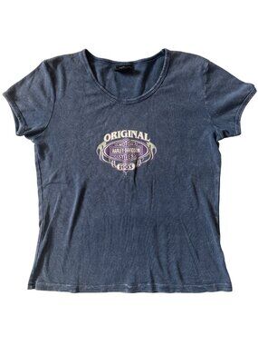 VTG Harley-Davidson Original 1903 Denali Alaska T-Shirt L Blue 100 % Cotton